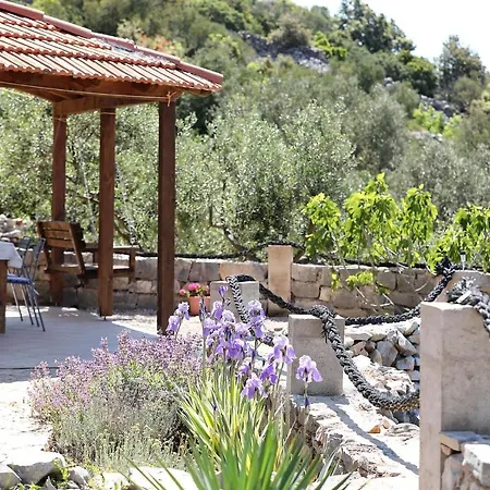 House Astrid